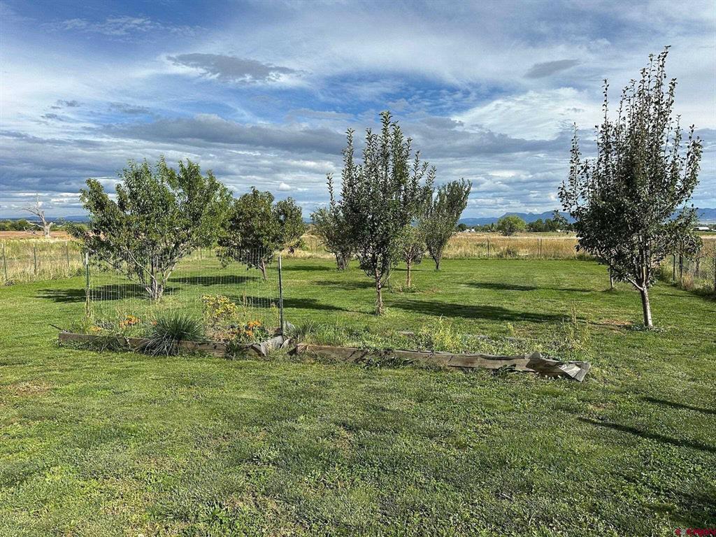 16388 Road 21.4 Cortez CO 81321