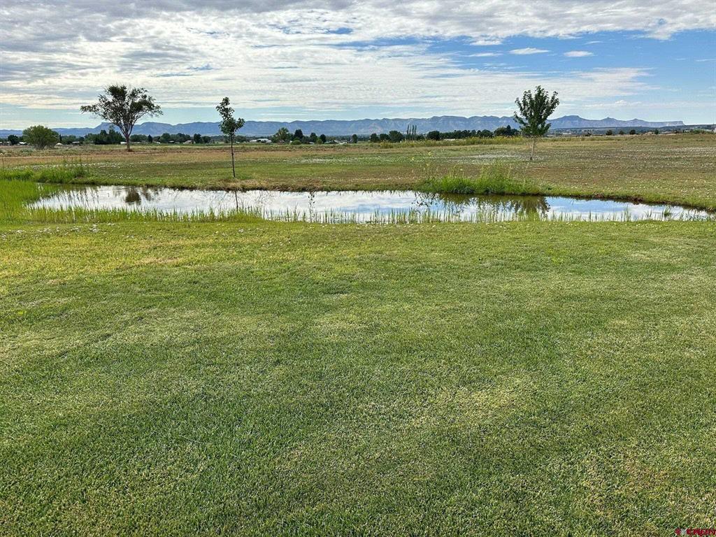 16388 Road 21.4 Cortez CO 81321