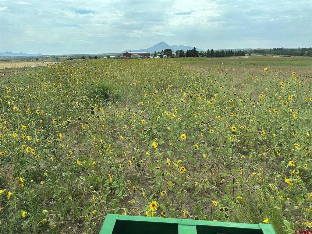 16388 Road 21.4 Cortez CO 81321