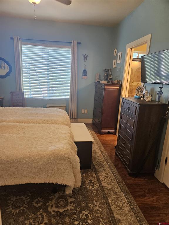 1618 S Taylor Circle Bayfield CO 81122