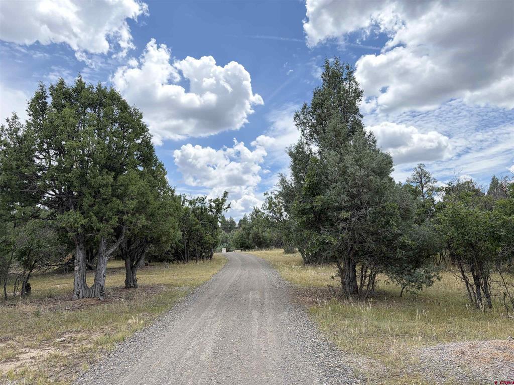 1592 S Pagosa Boulevard Pagosa Springs CO 81147