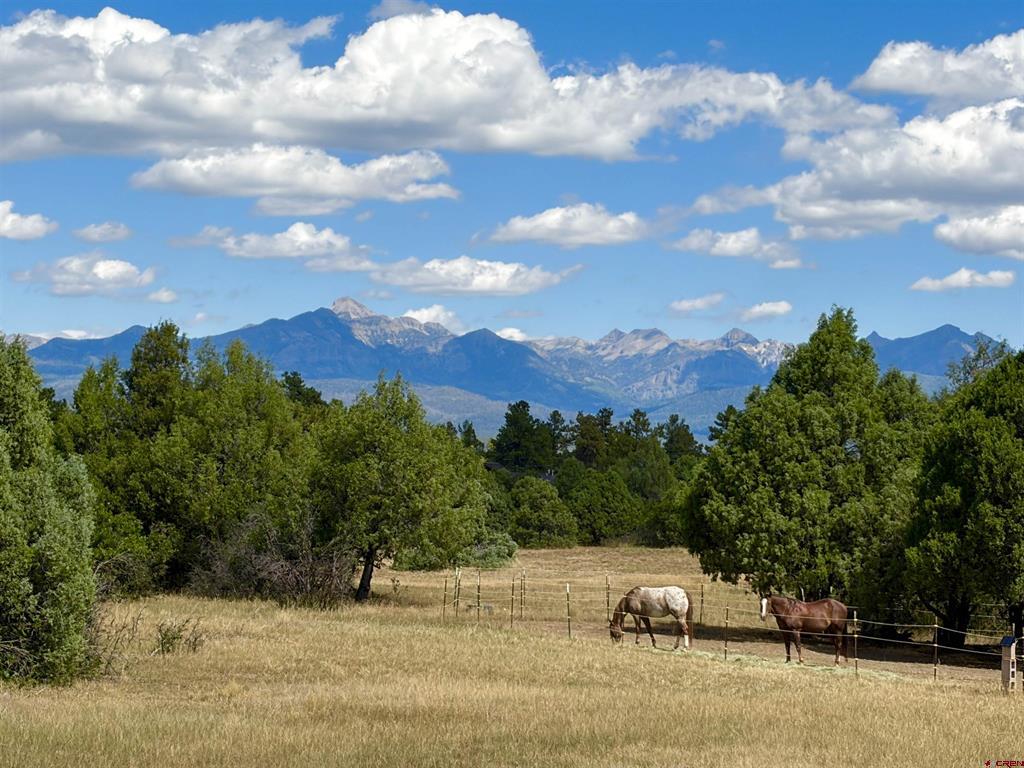 1592 S Pagosa Boulevard Pagosa Springs CO 81147