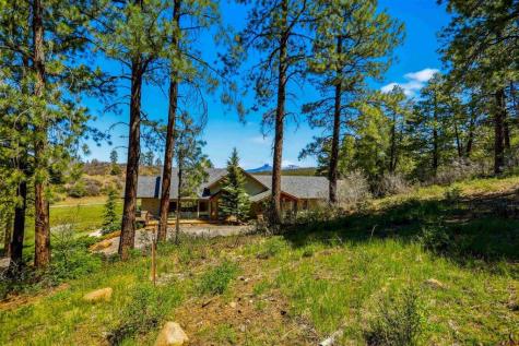1149 Cattle Trail Pagosa Springs CO 81147