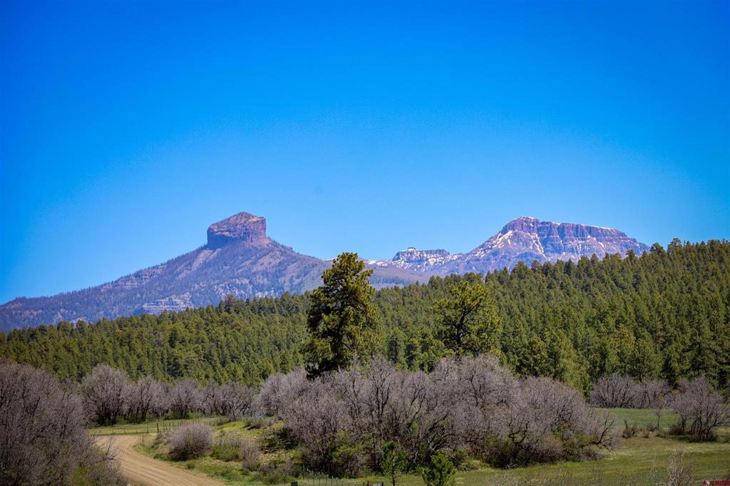 1149 Cattle Trail Place Pagosa Springs CO 81147