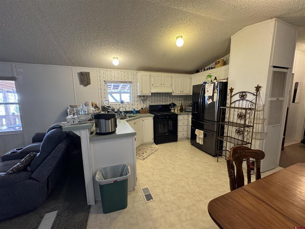 4100 Usfs Road 515 #180 Creede CO 81130