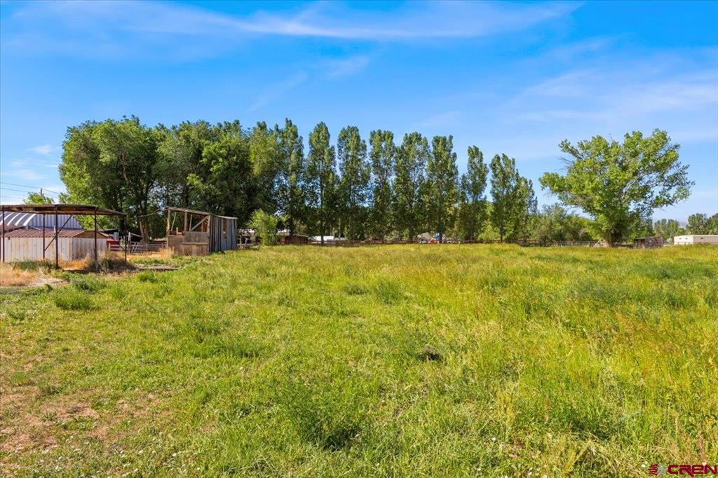 14809 6175 Road Montrose CO 81403