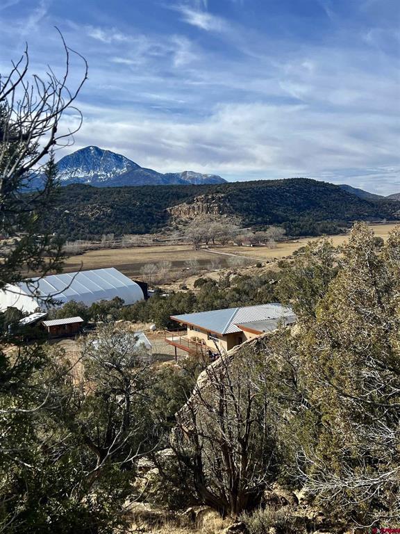 20615 Road G Cortez CO 81321