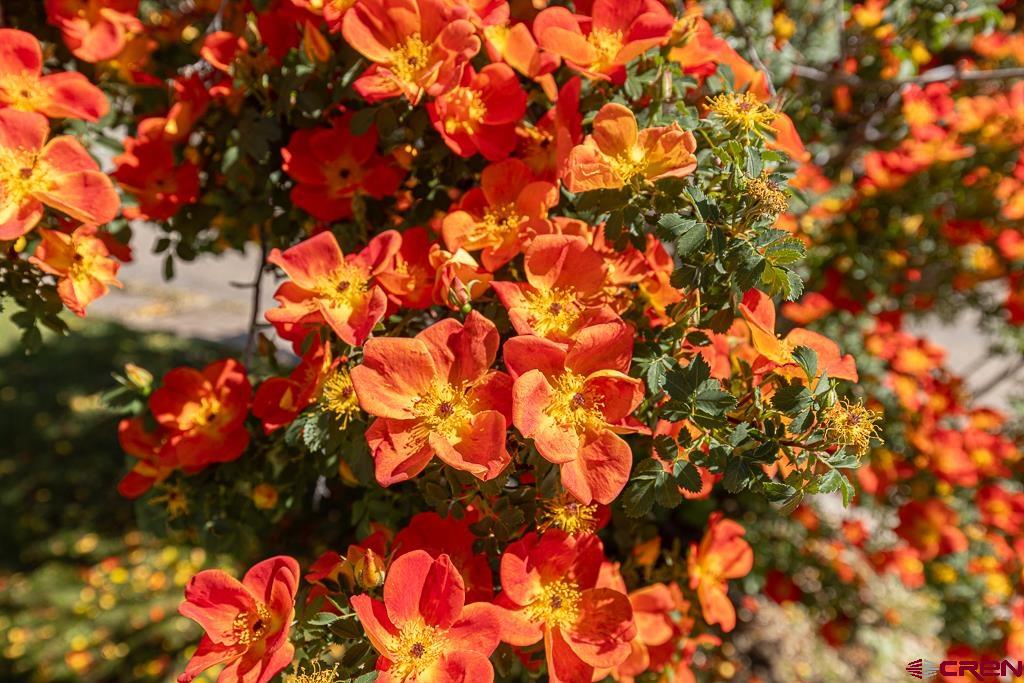 420 W 4th Street Cortez CO 81321