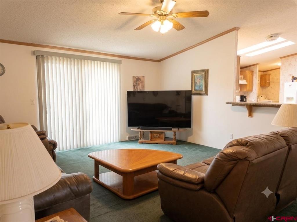 5769 County Road D.5 Antonito CO 81120