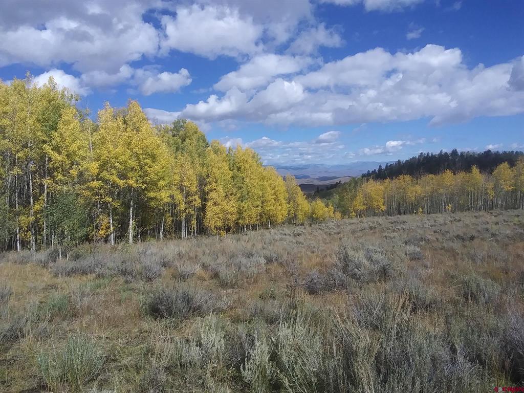 12404 County Road 1tt Gunnison CO 81230