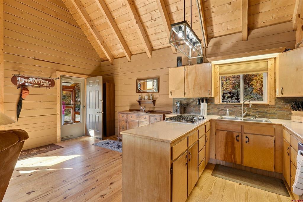 73 Elderberry Glen Pagosa Springs CO 81147