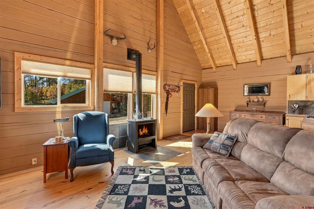 73 Elderberry Glen Pagosa Springs CO 81147