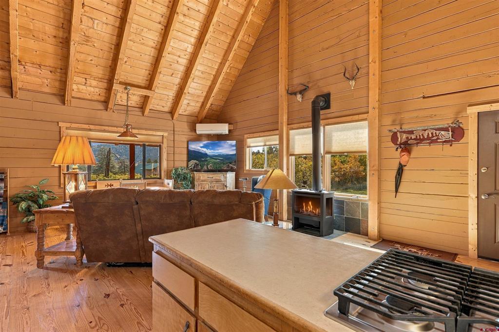 73 Elderberry Glen Pagosa Springs CO 81147