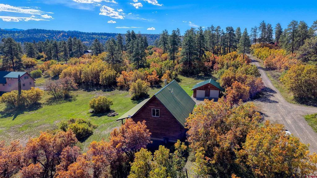 73 Elderberry Glen Pagosa Springs CO 81147