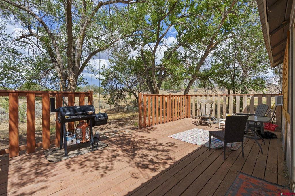 63 County Road 133d Hesperus CO 81329