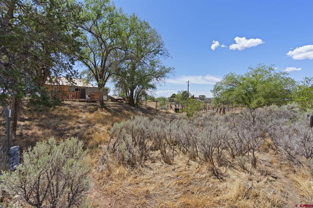 63 County Road 133d Hesperus CO 81329