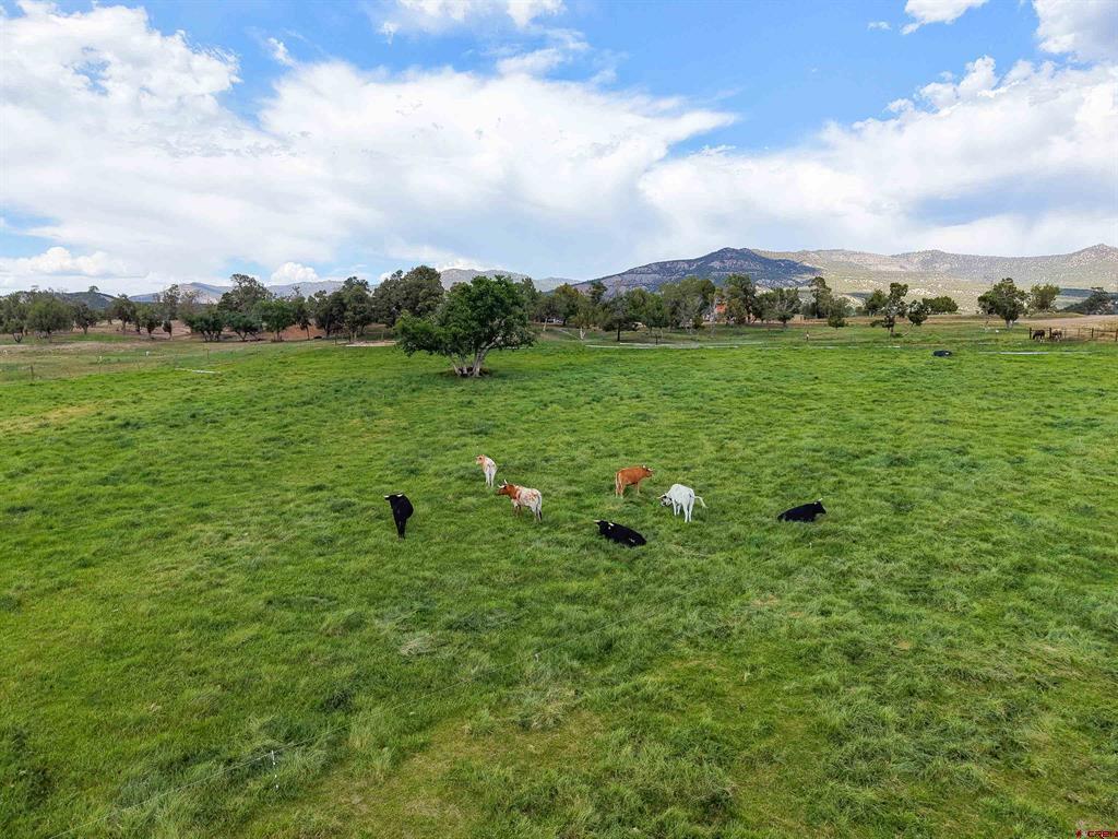2628 County Road 330 Ignacio CO 81137