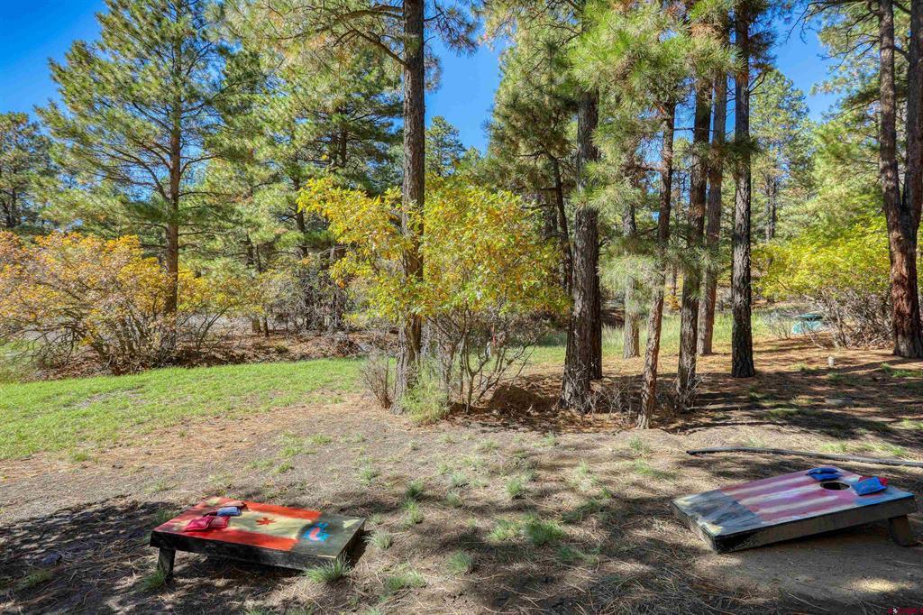 282 Aspenglow Boulevard Pagosa Springs CO 81147