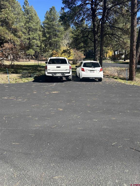 282 Aspenglow Boulevard Pagosa Springs CO 81147