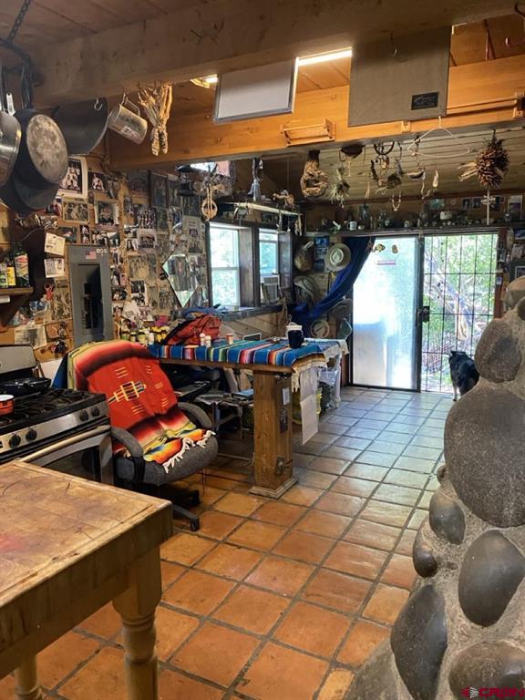 3310 County Rd 391 Road Pagosa Springs CO 81147