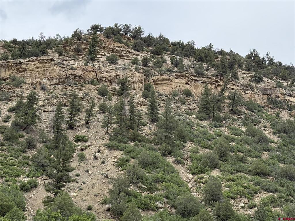 3310 County Rd 391 Road Pagosa Springs CO 81147