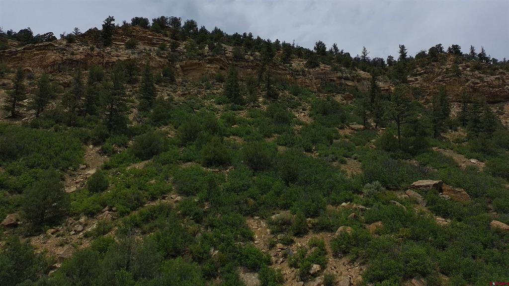 3310 County Rd 391 Road Pagosa Springs CO 81147
