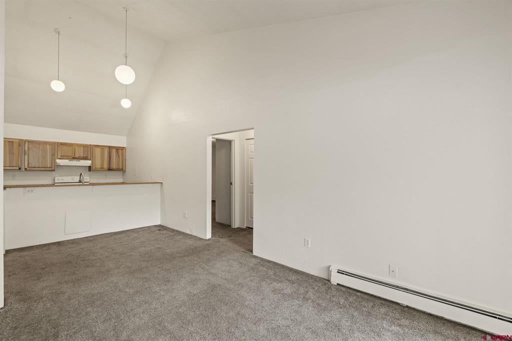 1135 Florida Road Durango CO 81301
