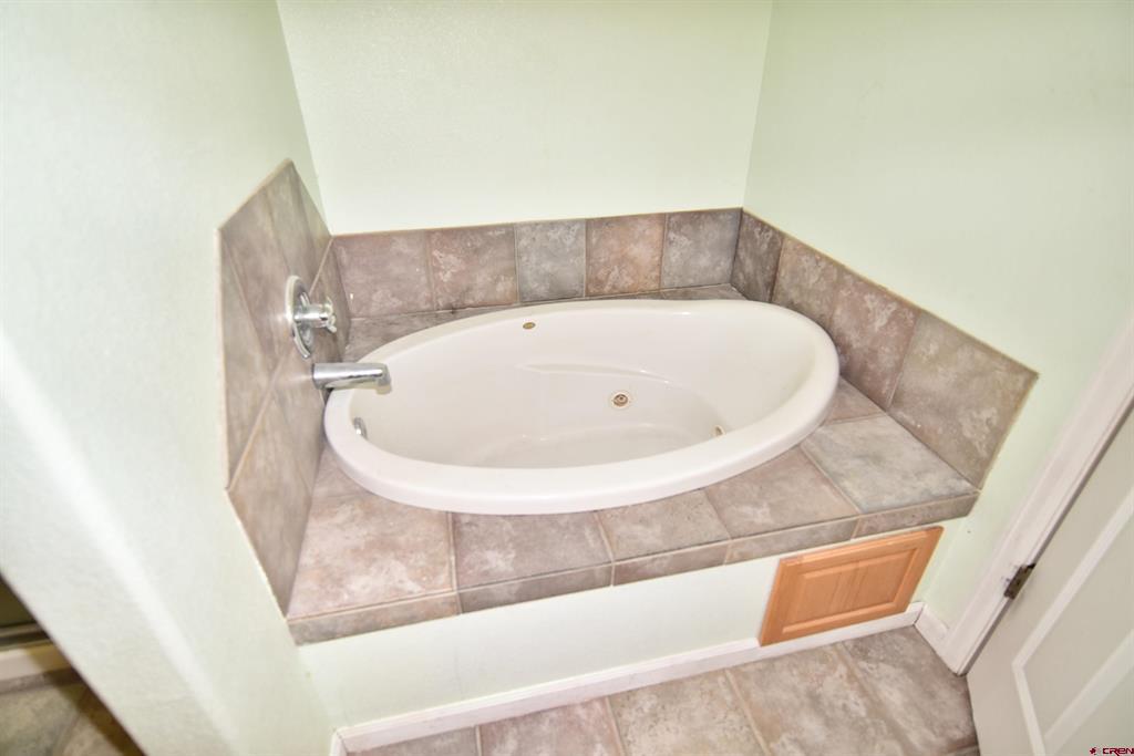 3177 Silver Fox Drive Montrose CO 81401