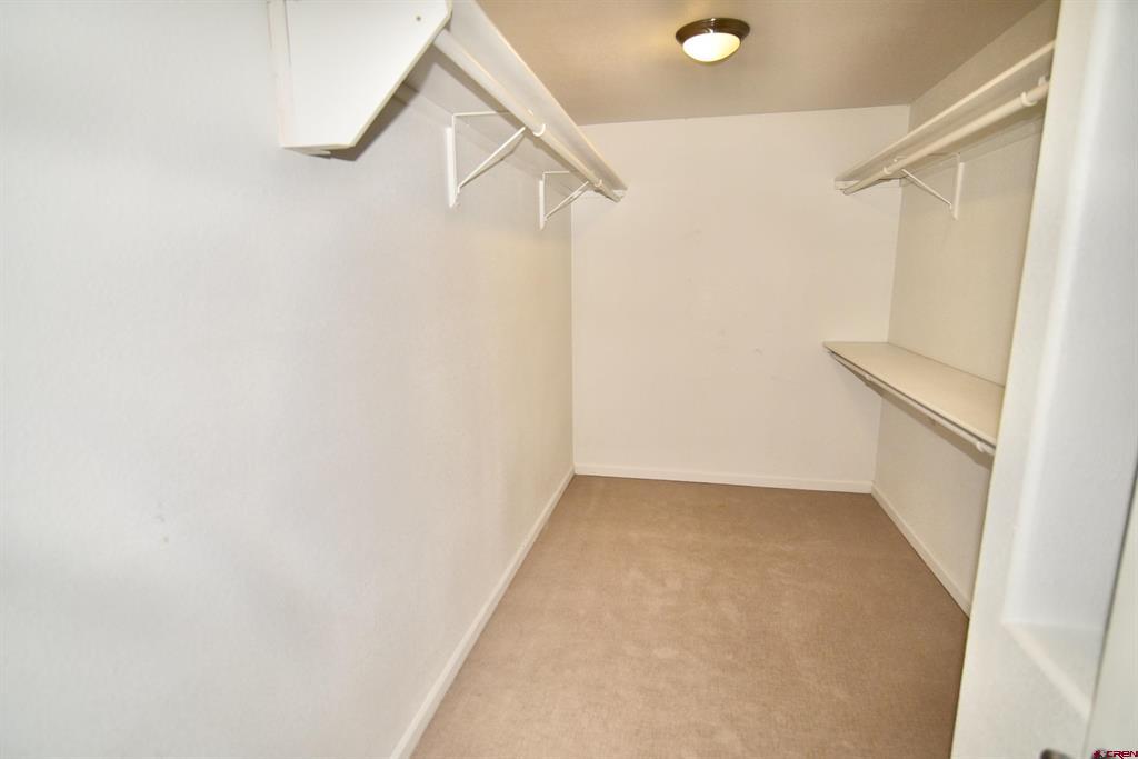 3177 Silver Fox Drive Montrose CO 81401