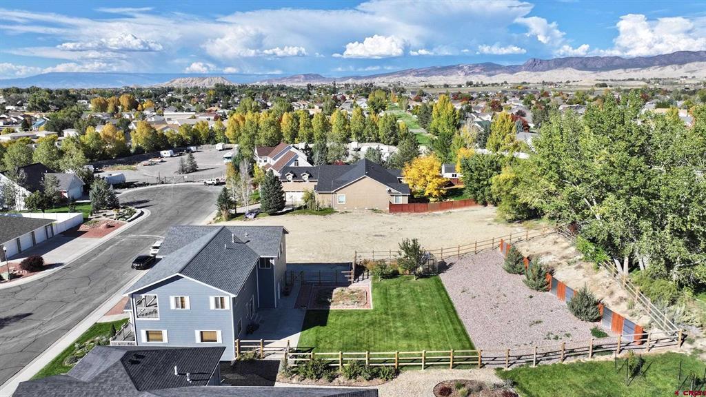 3177 Silver Fox Drive Montrose CO 81401