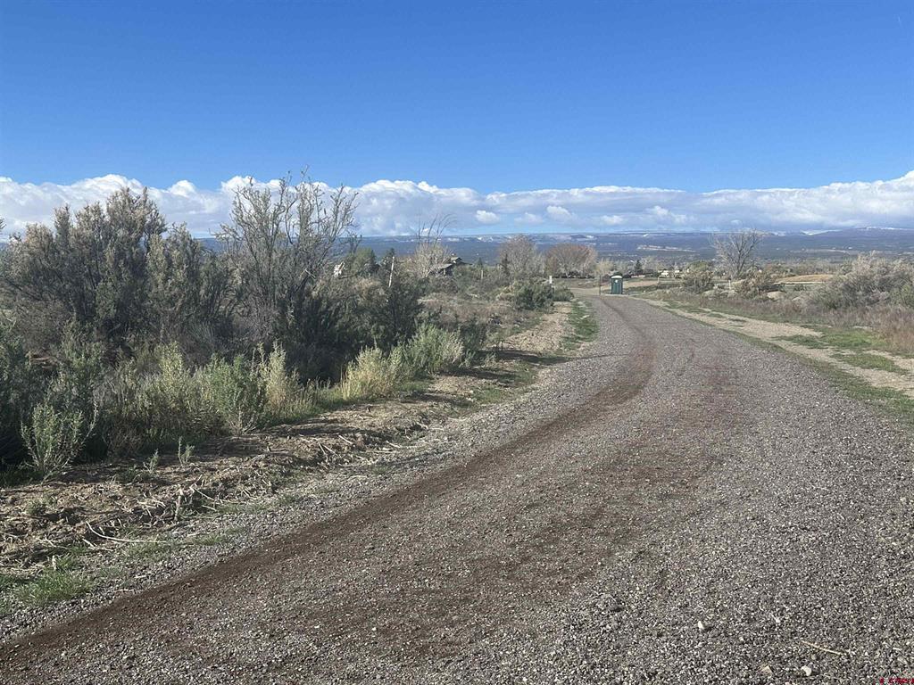 2817 Glen Oak Drive Montrose CO 81401
