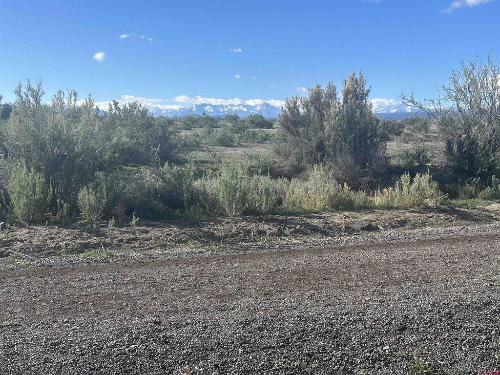 2817 Glen Oak Drive Montrose CO 81401