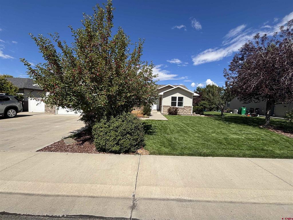2817 Glen Oak Drive Montrose CO 81401