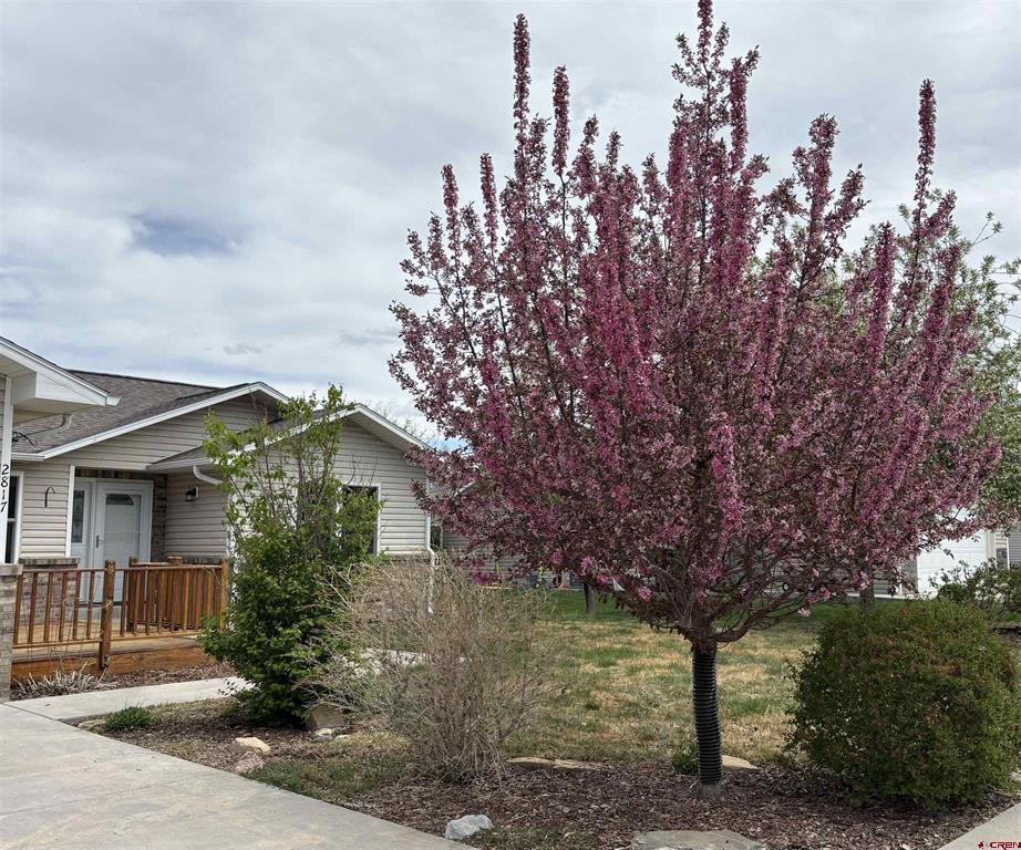 2817 Glen Oak Drive Montrose CO 81401