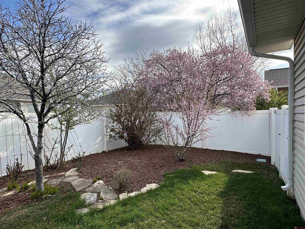 2817 Glen Oak Drive Montrose CO 81401