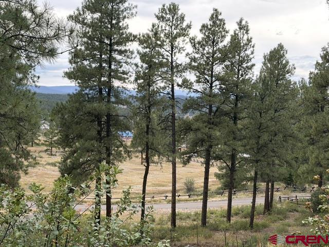 182 Pineview Drive Pagosa Springs CO 81147