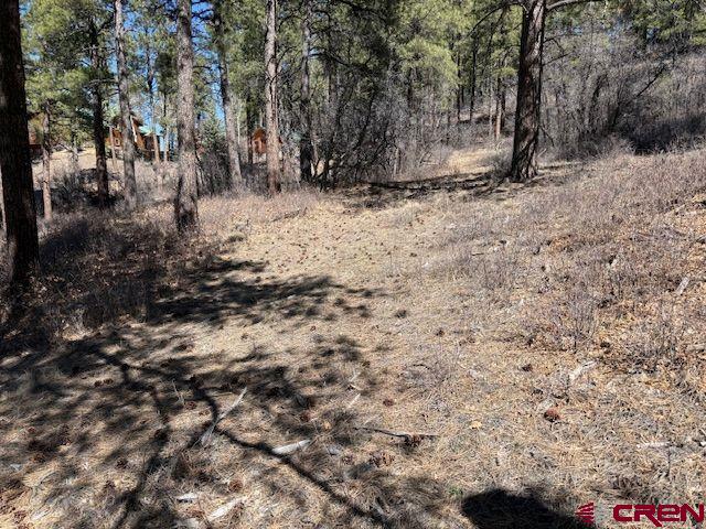 182 Pineview Drive Pagosa Springs CO 81147