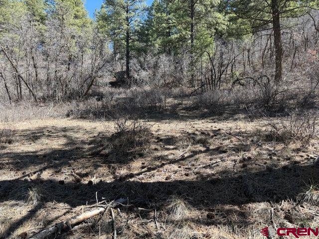 182 Pineview Drive Pagosa Springs CO 81147