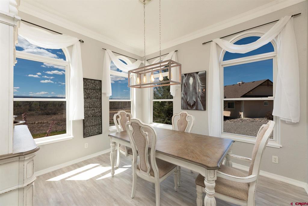 17133 Pintado Place Montrose CO 81403
