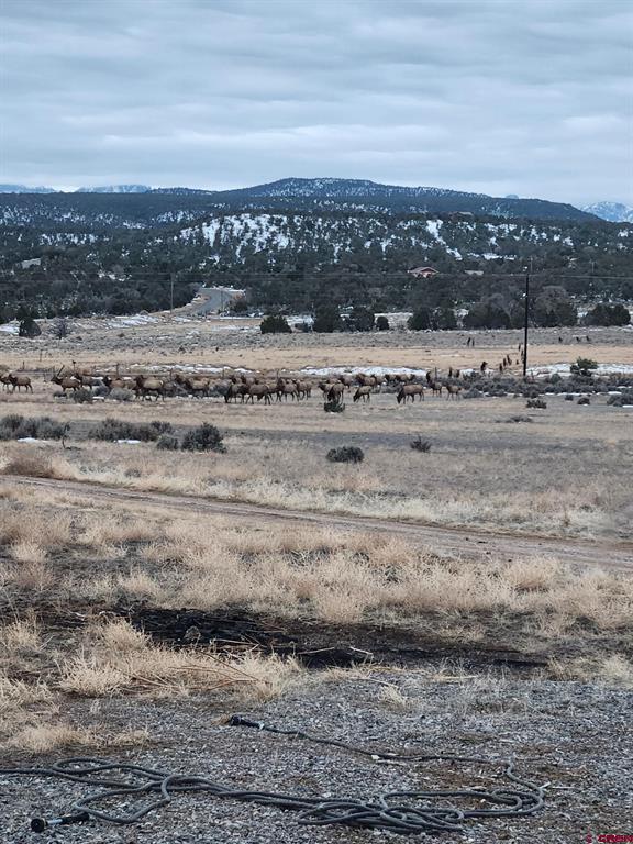 171 County Road 22 Montrose CO 81403