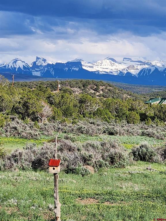 171 County Road 22 Montrose CO 81403