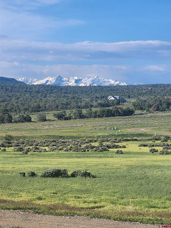 171 County Road 22 Montrose CO 81403