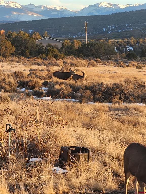 171 County Road 22 Montrose CO 81403