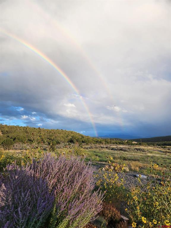 171 County Road 22 Montrose CO 81403