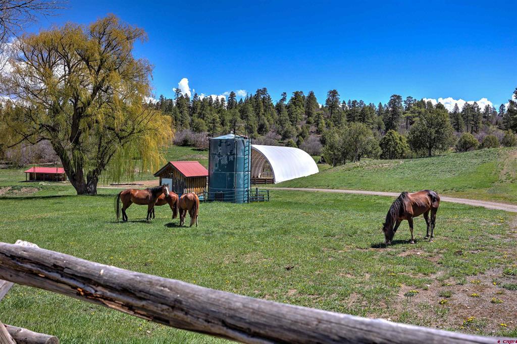 1134 Parelli Institute Drive Pagosa Springs CO 81147