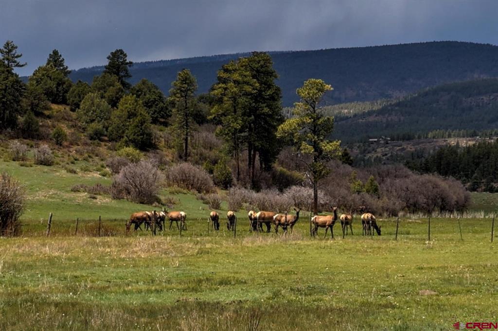 1134 Parelli Institute Drive Pagosa Springs CO 81147