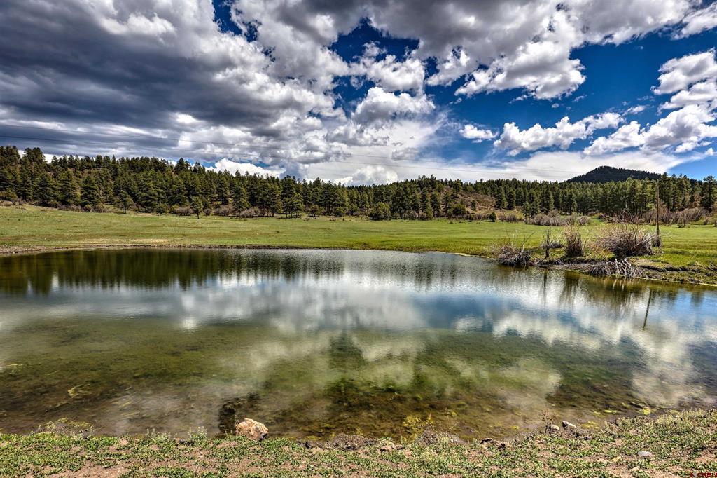 1134 Parelli Institute Drive Pagosa Springs CO 81147