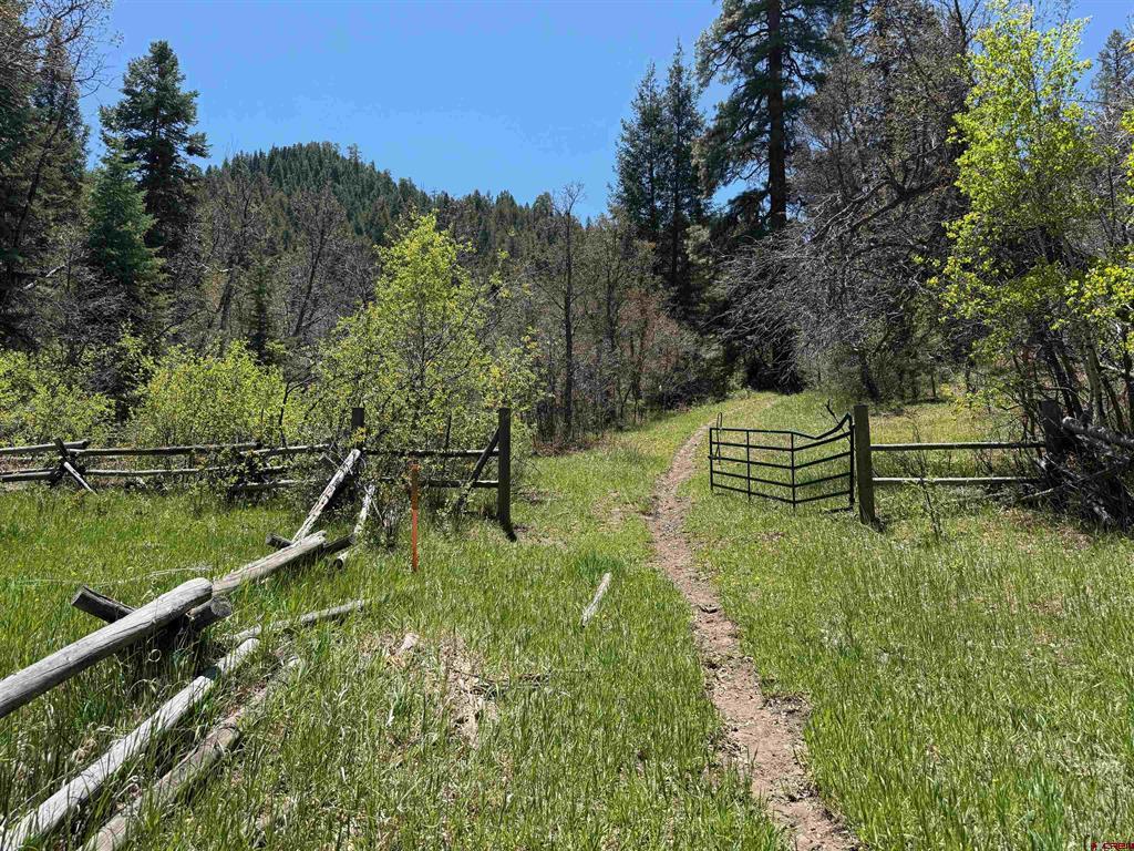 1134 Parelli Institute Drive Pagosa Springs CO 81147