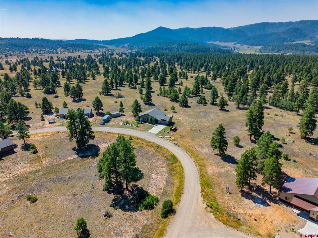 248 Domicile Circle Pagosa Springs CO 81147