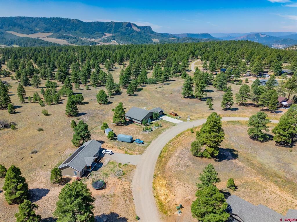 248 Domicile Circle Pagosa Springs CO 81147